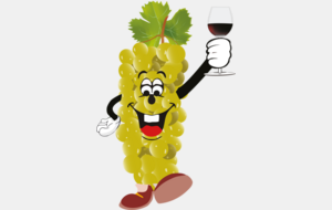 RANDONNEE DES VENDANGES