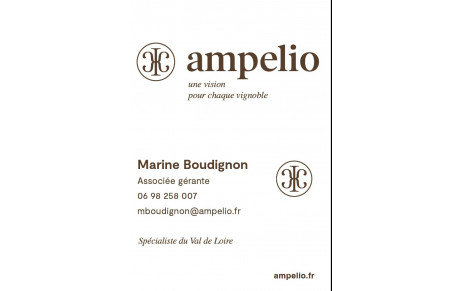 Ampelio