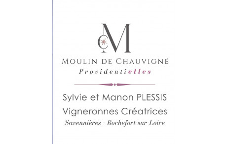 Moulin de Chauvigné